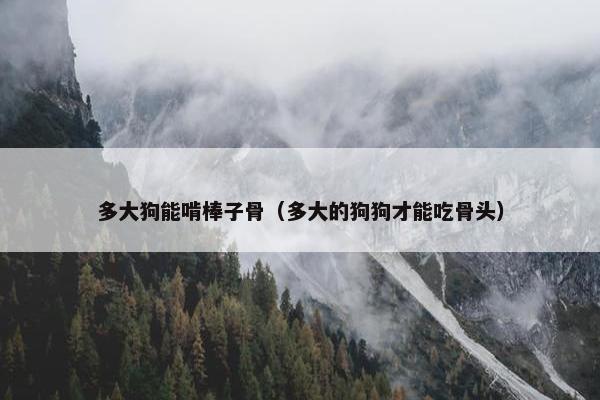 多大狗能啃棒子骨（多大的狗狗才能吃骨头）