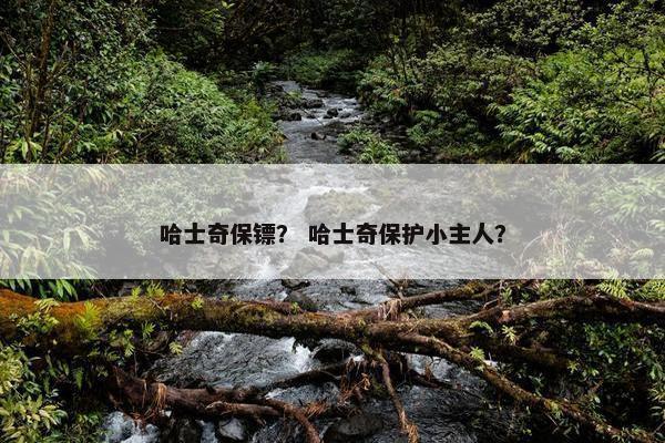 哈士奇保镖？ 哈士奇保护小主人？