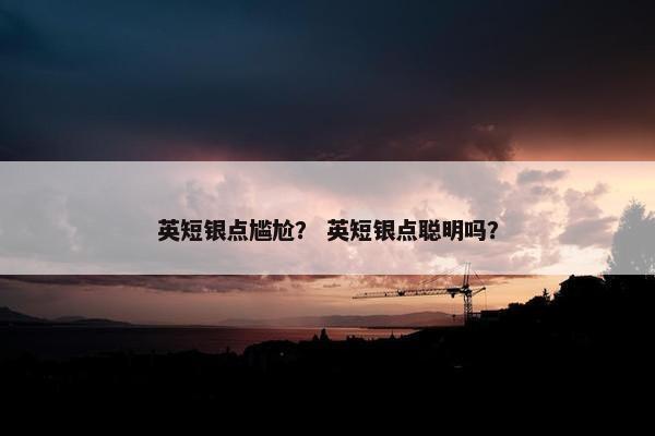 英短银点尴尬？ 英短银点聪明吗？