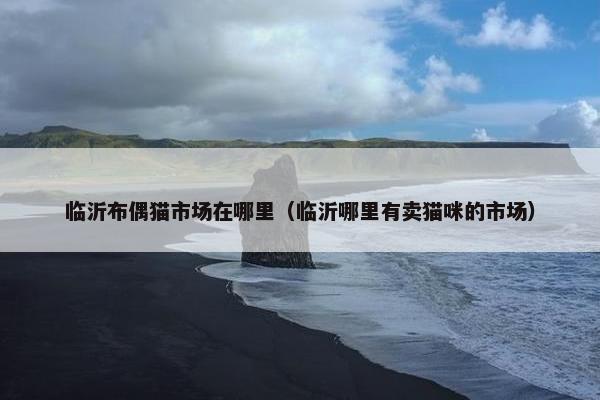 临沂布偶猫市场在哪里（临沂哪里有卖猫咪的市场）