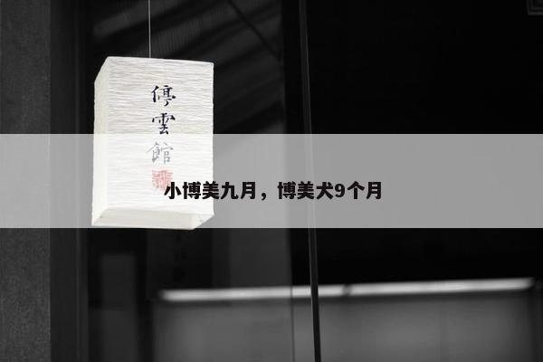 小博美九月，博美犬9个月
