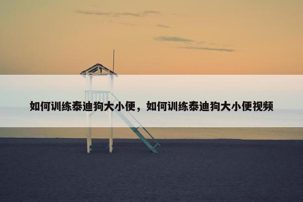 如何训练泰迪狗大小便，如何训练泰迪狗大小便视频