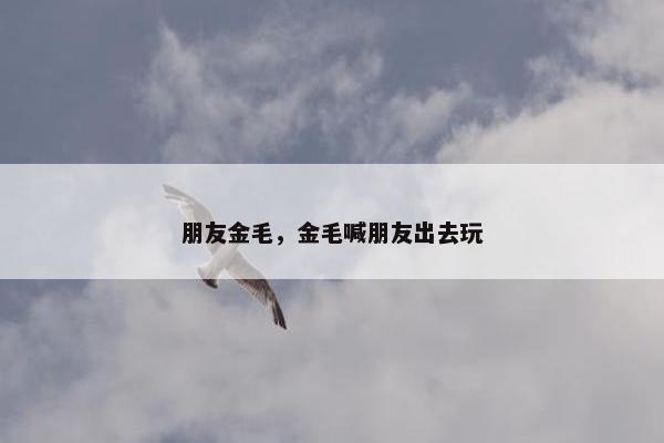 朋友金毛，金毛喊朋友出去玩