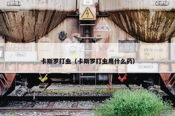 卡斯罗打虫（卡斯罗打虫用什么药）