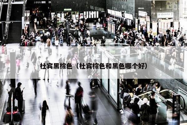 杜宾黑棕色（杜宾棕色和黑色哪个好）