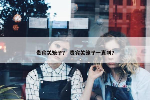 贵宾关笼子？ 贵宾关笼子一直叫？