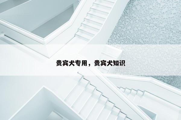 贵宾犬专用，贵宾犬知识