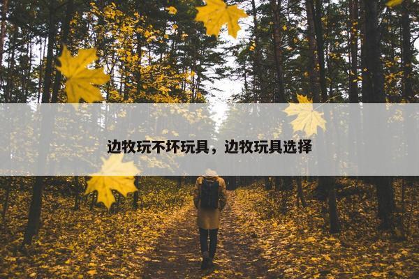 边牧玩不坏玩具，边牧玩具选择