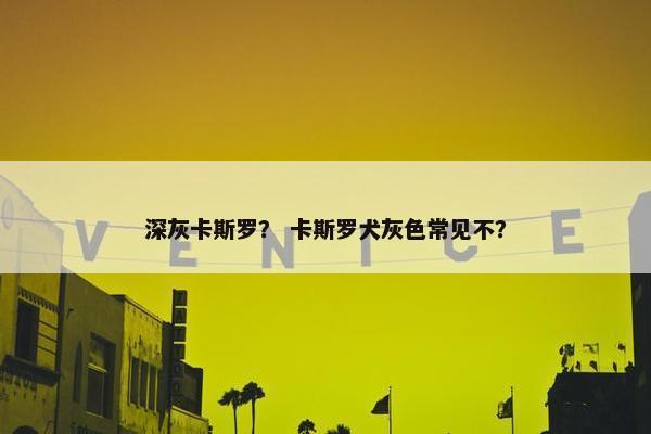 深灰卡斯罗？ 卡斯罗犬灰色常见不？
