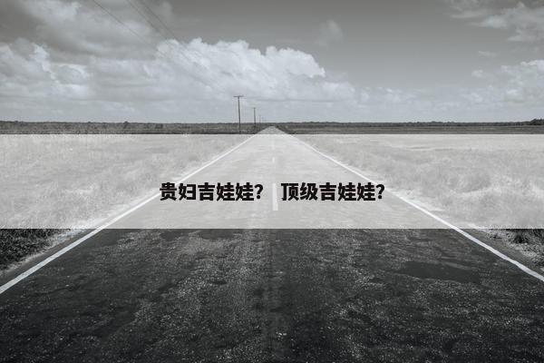 贵妇吉娃娃？ 顶级吉娃娃？
