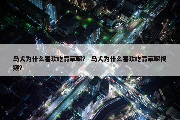 马犬为什么喜欢吃青草呢？ 马犬为什么喜欢吃青草呢视频？