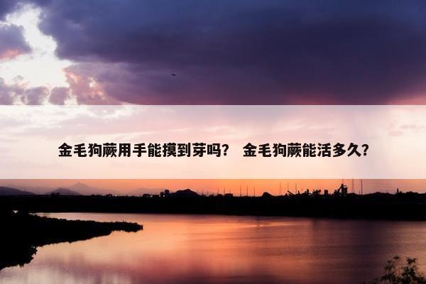 金毛狗蕨用手能摸到芽吗？ 金毛狗蕨能活多久？
