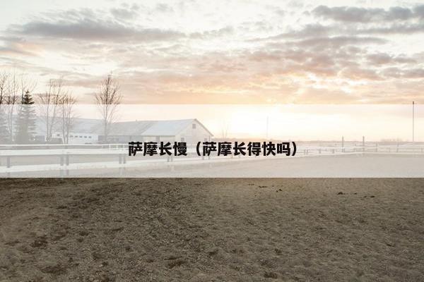 萨摩长慢（萨摩长得快吗）