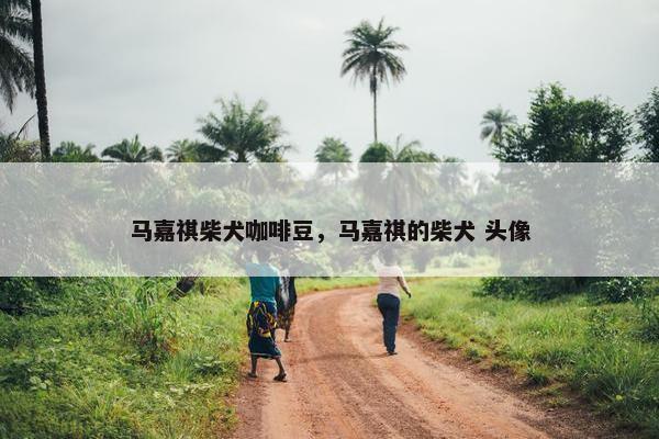 马嘉祺柴犬咖啡豆，马嘉祺的柴犬 头像