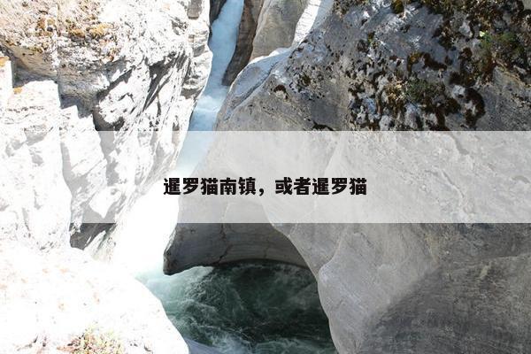 暹罗猫南镇，或者暹罗猫