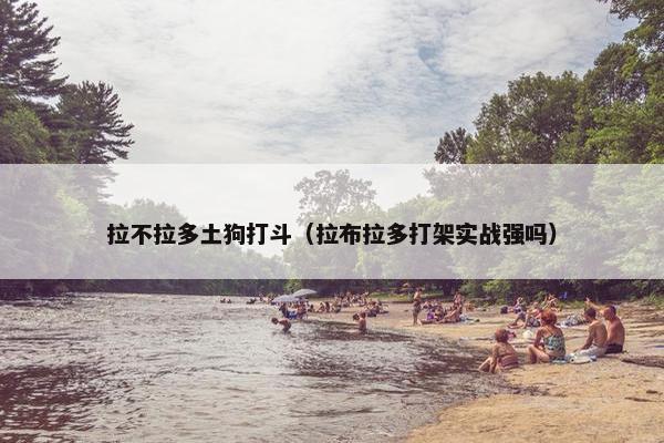 拉不拉多土狗打斗（拉布拉多打架实战强吗）