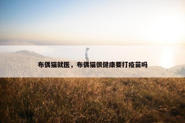 布偶猫就医，布偶猫很健康要打疫苗吗