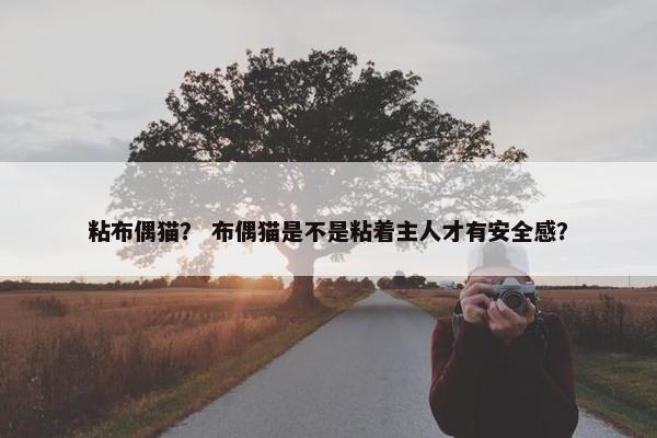 粘布偶猫？ 布偶猫是不是粘着主人才有安全感？