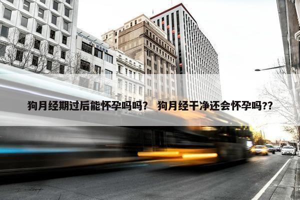 狗月经期过后能怀孕吗吗？ 狗月经干净还会怀孕吗?？