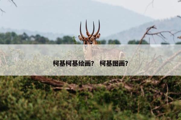 柯基柯基绘画？ 柯基图画？