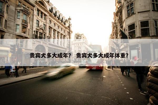 贵宾犬多大成年？ 贵宾犬多大成年体重？