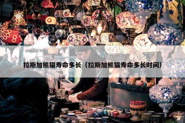 拉斯加熊猫寿命多长（拉斯加熊猫寿命多长时间）