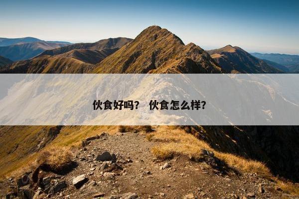 伙食好吗？ 伙食怎么样？