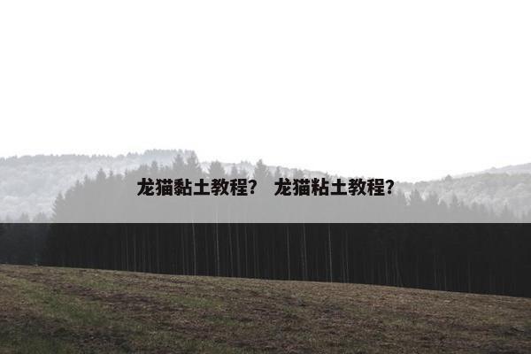 龙猫黏土教程？ 龙猫粘土教程？