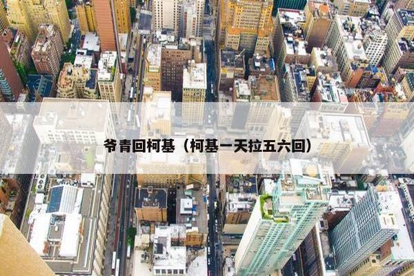 爷青回柯基（柯基一天拉五六回）