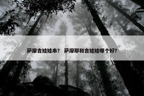萨摩吉娃娃串？ 萨摩耶和吉娃娃哪个好？