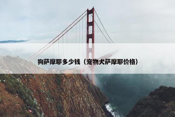 狗萨摩耶多少钱（宠物犬萨摩耶价格）