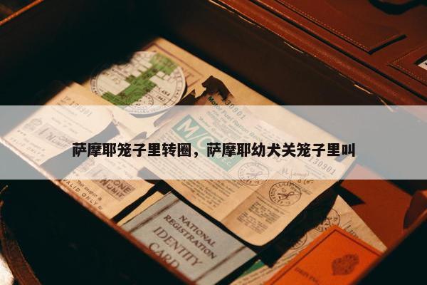 萨摩耶笼子里转圈，萨摩耶幼犬关笼子里叫