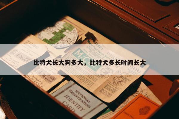比特犬长大狗多大，比特犬多长时间长大