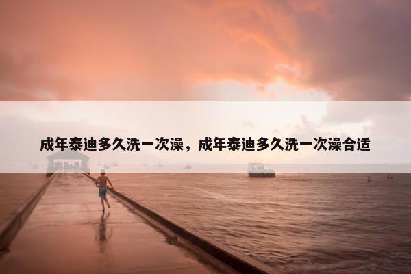 成年泰迪多久洗一次澡，成年泰迪多久洗一次澡合适