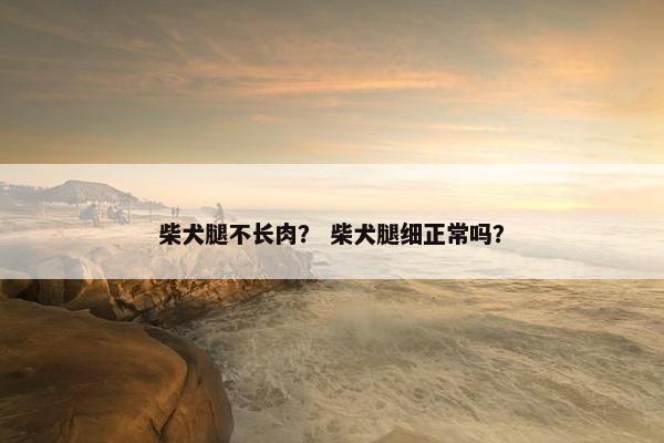 柴犬腿不长肉？ 柴犬腿细正常吗？