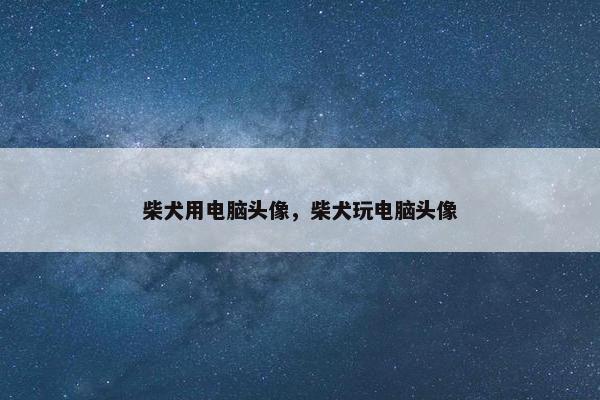 柴犬用电脑头像，柴犬玩电脑头像