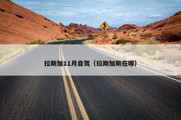 拉斯加11月自驾（拉斯加斯在哪）