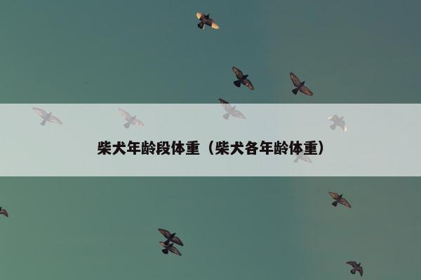 柴犬年龄段体重（柴犬各年龄体重）
