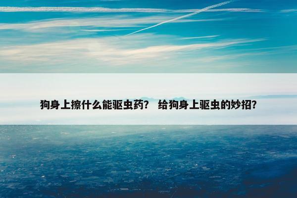 狗身上擦什么能驱虫药？ 给狗身上驱虫的妙招？