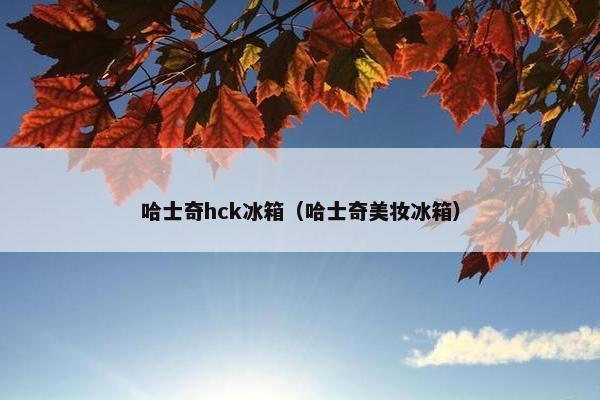 哈士奇hck冰箱（哈士奇美妆冰箱）