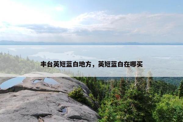 丰台英短蓝白地方，英短蓝白在哪买
