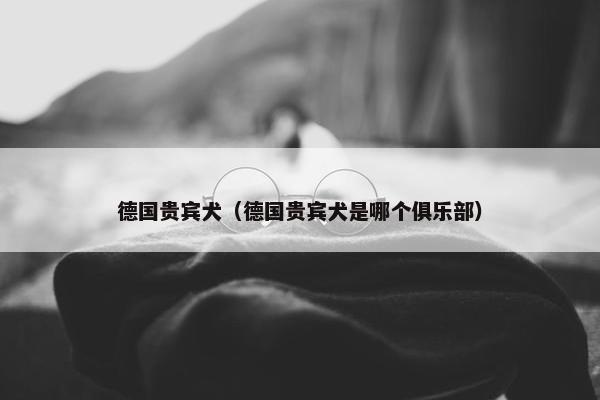 德国贵宾犬（德国贵宾犬是哪个俱乐部）