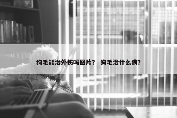 狗毛能治外伤吗图片？ 狗毛治什么病？