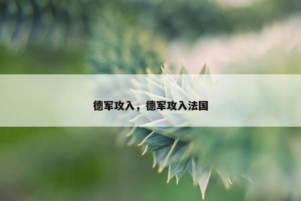 德军攻入，德军攻入法国