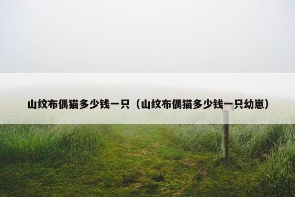 山纹布偶猫多少钱一只（山纹布偶猫多少钱一只幼崽）