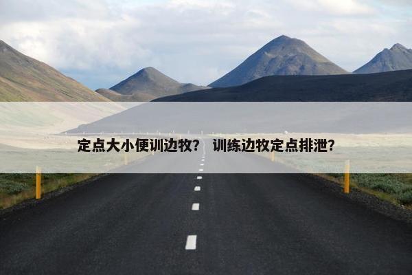 定点大小便训边牧？ 训练边牧定点排泄？