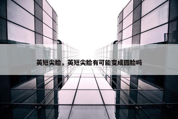 英短尖脸，英短尖脸有可能变成圆脸吗