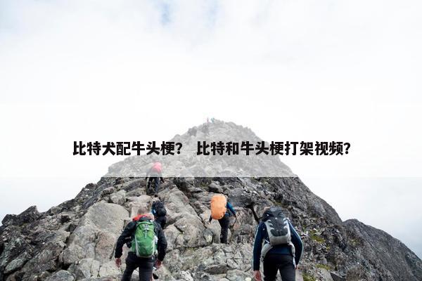 比特犬配牛头梗？ 比特和牛头梗打架视频？