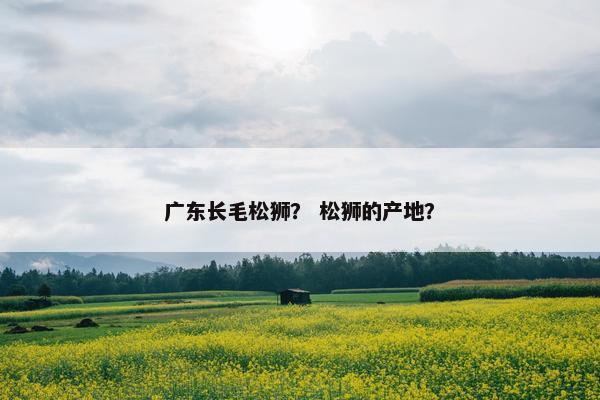 广东长毛松狮？ 松狮的产地？