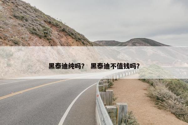 黑泰迪纯吗？ 黑泰迪不值钱吗？